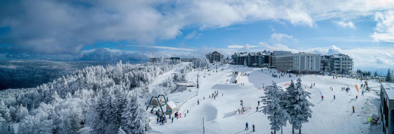 Seneca 202 Snowshoe Exterior photo