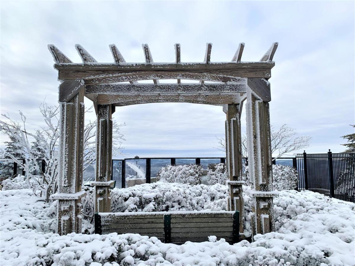 Seneca 202 Snowshoe Exterior photo